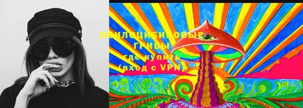 прущая мука Вязники